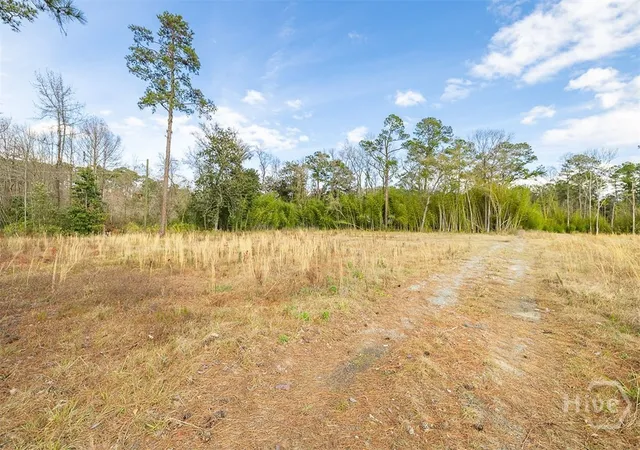 Photo 1 of Land for sale at 250 S Columbia Ave, Rincon, GA 31326 | MLS# SA362841 | Listing updated on 2026-08-18