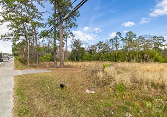 Photo 2 of Land for sale at 250 S Columbia Ave, Rincon, GA 31326 | MLS# SA362841 | Listing updated on 2026-08-18