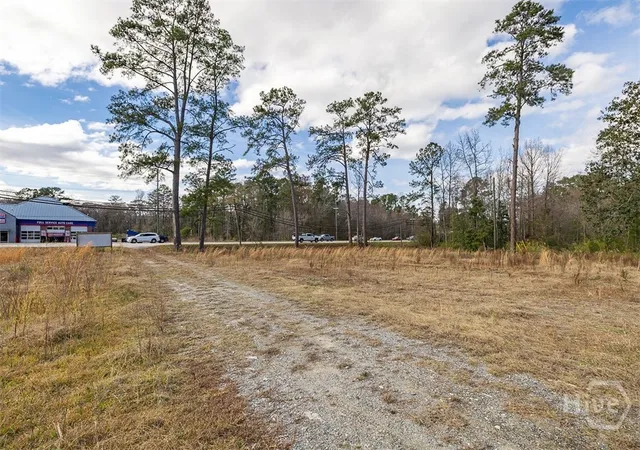 Photo 3 of Land for sale at 250 S Columbia Ave, Rincon, GA 31326 | MLS# SA362841 | Listing updated on 2026-08-18