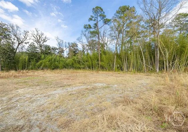 Photo 4 of Land for sale at 250 S Columbia Ave, Rincon, GA 31326 | MLS# SA362841 | Listing updated on 2026-08-18