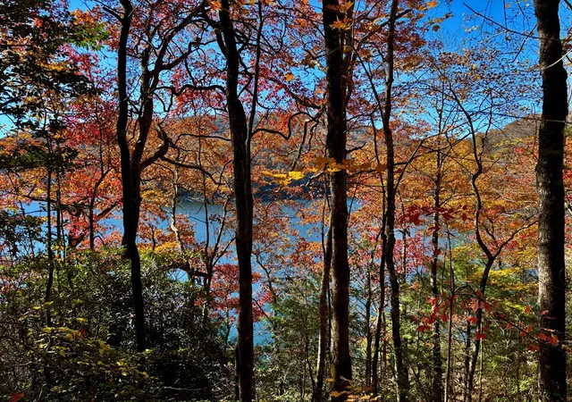 Photo 3 of Land for sale at Lot#26 Lakeshore Dr, Topton, NC 28781 | MLS# 98543877 | Listing updated on 2026-07-14