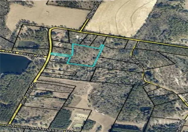 Photo 1 of Land for sale at 0 Jim Cannon Rd, Collins, GA 30421 | MLS# SA346455 | Listing updated on 2026-08-18