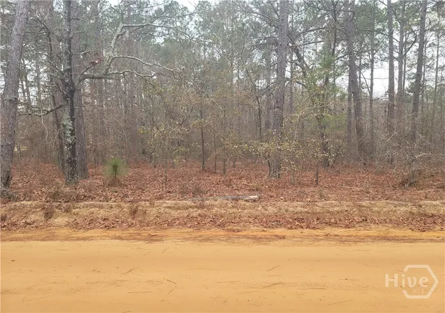 Photo 4 of Land for sale at 0 Jim Cannon Rd, Collins, GA 30421 | MLS# SA346455 | Listing updated on 2026-08-18