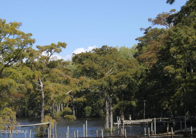 4th image of 419 Cannons Ferry Rd, Tyner, NC 27980 | MLS# 100468805