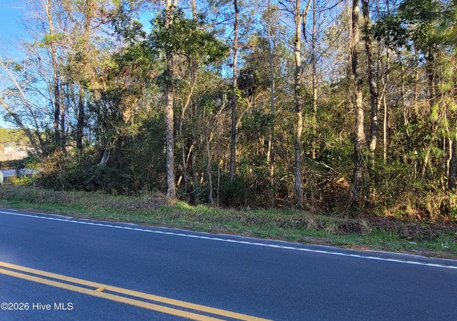 Homes for sale in Loris, SC | Tbd Lot 1 Auburn Dr, Loris, SC 29569 | MLS# 100549137