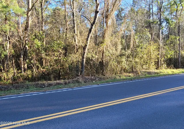 Homes for sale in Loris, SC | Tbd Lot 1 Auburn Dr, Loris, SC 29569 | MLS# 100549137