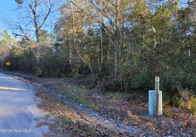 Homes for sale in Loris, SC | Tbd Lot 1 Auburn Dr, Loris, SC 29569 | MLS# 100549137