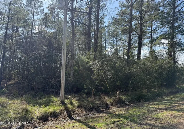 Photo 4 of Land for sale at 122 Wackena Way, Beaufort, NC 28516 | MLS# 100558768 | Listing updated on 2026-03-07