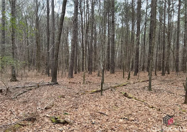 Homes for sale in Watkinsville, GA | Lot D Salem Rd, Watkinsville, GA 30677 | MLS# CM1025798
