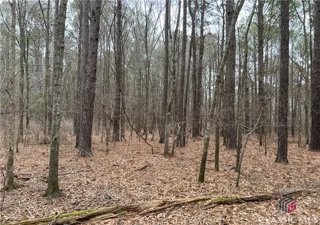 Homes for sale in Watkinsville, GA | Lot D Salem Rd, Watkinsville, GA 30677 | MLS# CM1025798