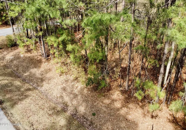 Photo 1 of Land for sale at 00 Doris Dr, Oriental, NC 28571 | MLS# 100560614 | Listing updated on 2026-06-22