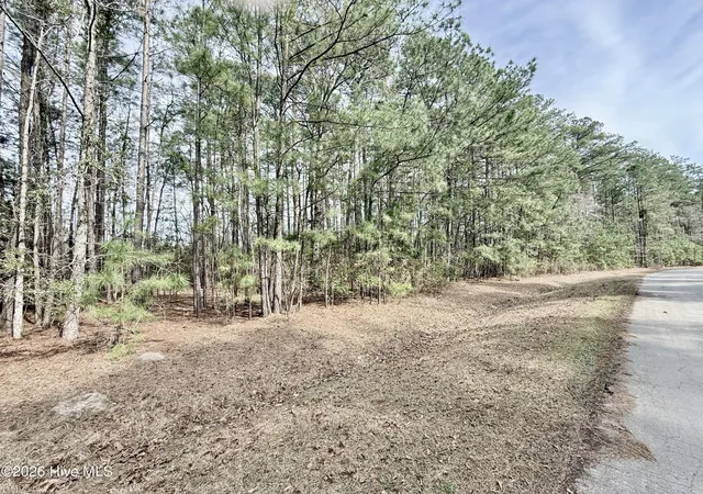 Photo 3 of Land for sale at 00 Doris Dr, Oriental, NC 28571 | MLS# 100560614 | Listing updated on 2026-06-22