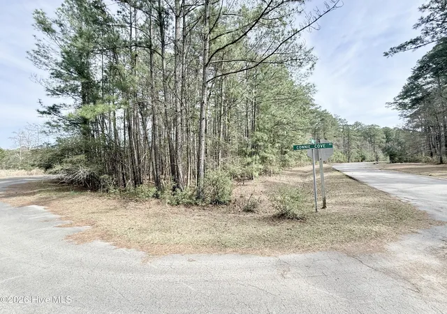 Photo 3 of Land for sale at 00 Doris Dr, Oriental, NC 28571 | MLS# 100560614 | Listing updated on 2026-06-22