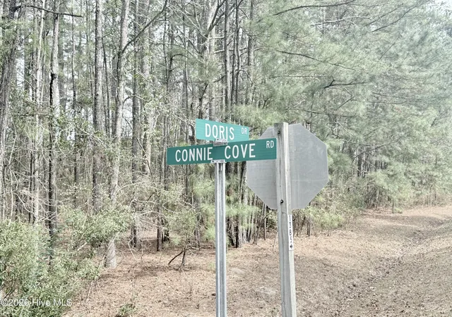 Photo 4 of Land for sale at 00 Doris Dr, Oriental, NC 28571 | MLS# 100560614 | Listing updated on 2026-06-22