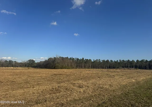 Homes for sale in Garland, NC | 0 Old Fayetteville Rd, Garland, NC 28441 | MLS# 100560570