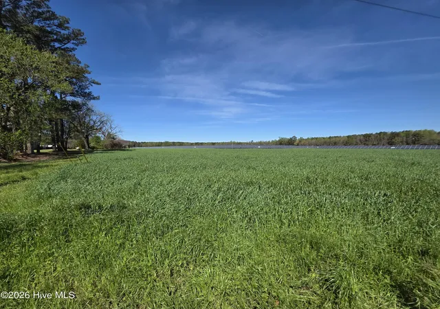 Homes for sale in Albertson, NC | 00 N N Nc 111 And 903 Hwy, Albertson, NC 28508 | MLS# 100563453