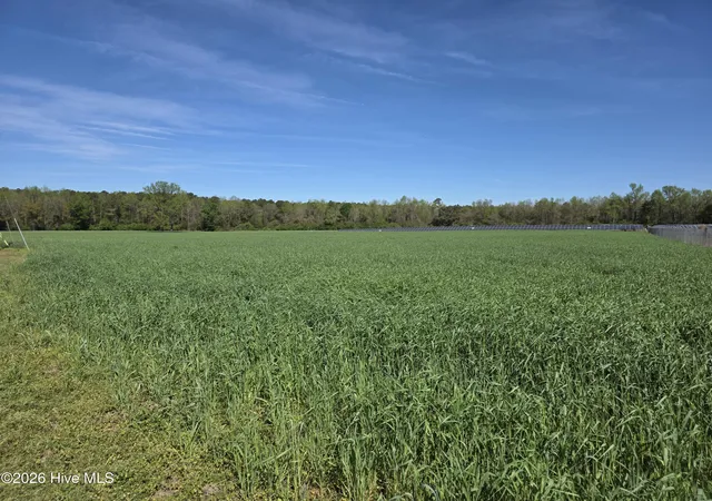 Homes for sale in Albertson, NC | 00 N N Nc 111 And 903 Hwy, Albertson, NC 28508 | MLS# 100563453