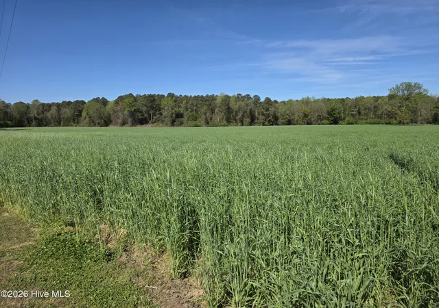 Homes for sale in Albertson, NC | 00 N N Nc 111 And 903 Hwy, Albertson, NC 28508 | MLS# 100563453