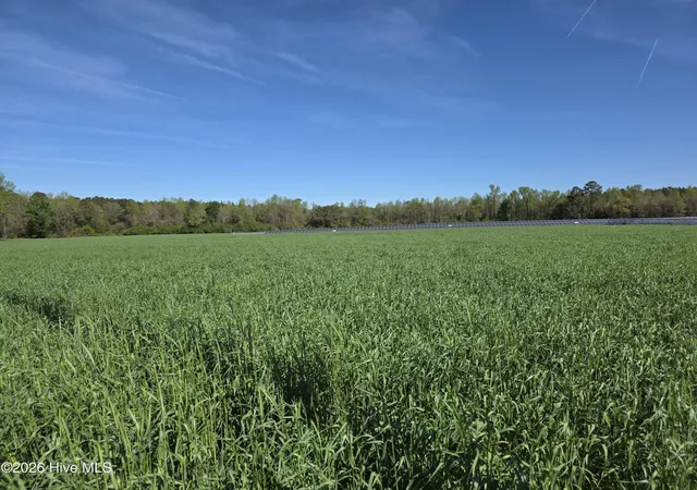 Homes for sale in Albertson, NC | 00 N N Nc 111 And 903 Hwy, Albertson, NC 28508 | MLS# 100563453