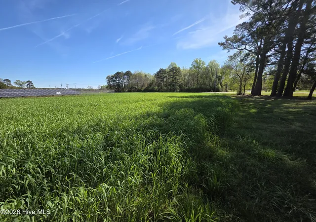 Homes for sale in Albertson, NC | 00 N N Nc 111 And 903 Hwy, Albertson, NC 28508 | MLS# 100563453