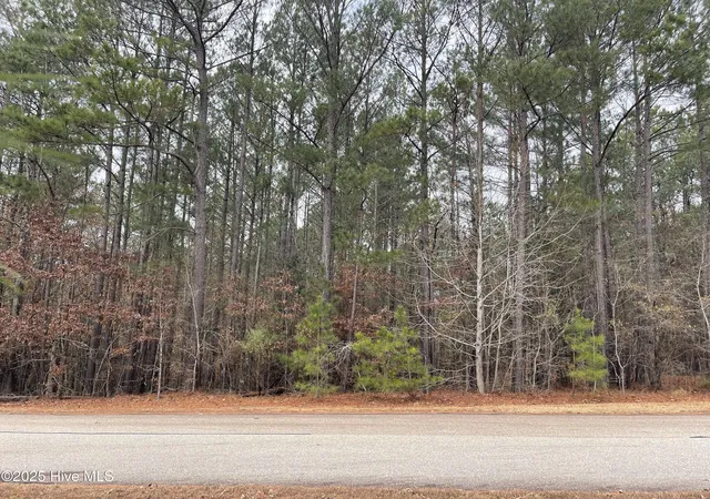 Photo 3 of Land for sale at 000 N State Ln, Rockingham, NC 28379 | MLS# 100482200 | Listing updated on 2026-07-04
