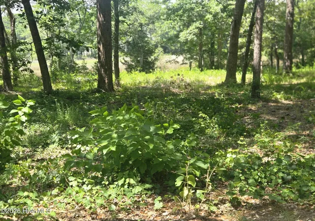 Photo 3 of Land for sale at 3179 Mullet Crk Pl Se, Bolivia, NC 28422 | MLS# 100589578 | Listing updated on 2026-08-18