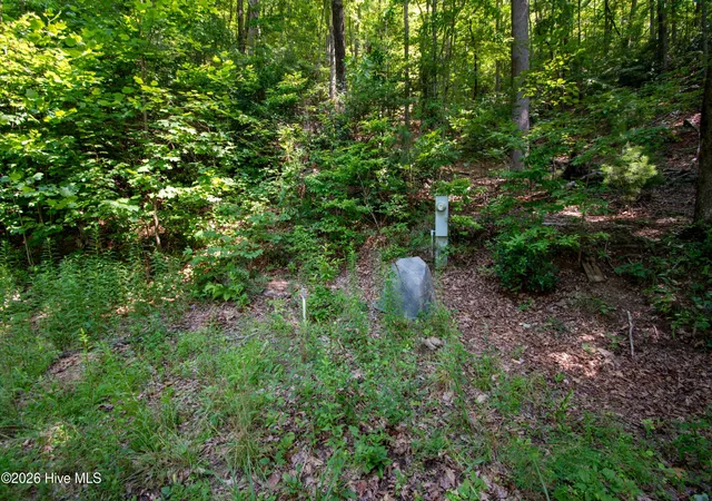 Photo 2 of Land for sale at 850 Bluff Rd, Marble, NC 28905 | MLS# 100588068 | Listing updated on 2026-08-17