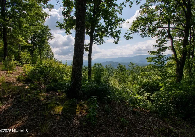 Photo 31 of Land for sale at 850 Bluff Rd, Marble, NC 28905 | MLS# 100588068 | Listing updated on 2026-08-17