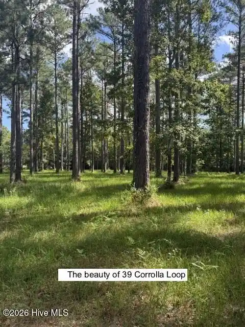 Photo 1 of Land for sale at 39 Corrolla Loop Rd, Arapahoe, NC 28510 | MLS# 100604013 | Listing updated on 2026-09-16