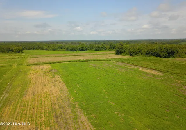 Photo 2 of Land for sale at 2 S Nc 41 Hwy, Wallace, NC 28466 | MLS# 100599947 | Listing updated on 2026-09-14
