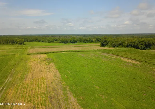Photo 3 of Land for sale at 2 S Nc 41 Hwy, Wallace, NC 28466 | MLS# 100599947 | Listing updated on 2026-09-14