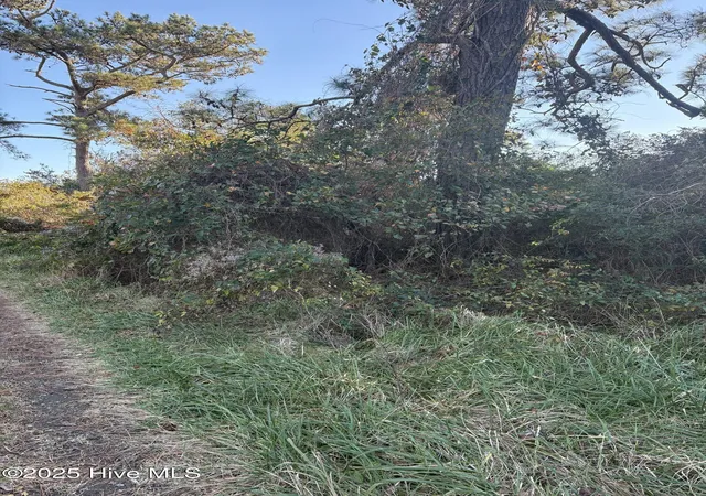 Photo 1 of Land for sale at 196 Styron Crk Rd, Sealevel, NC 28577 | MLS# 100555026 | Listing updated on 2026-03-02