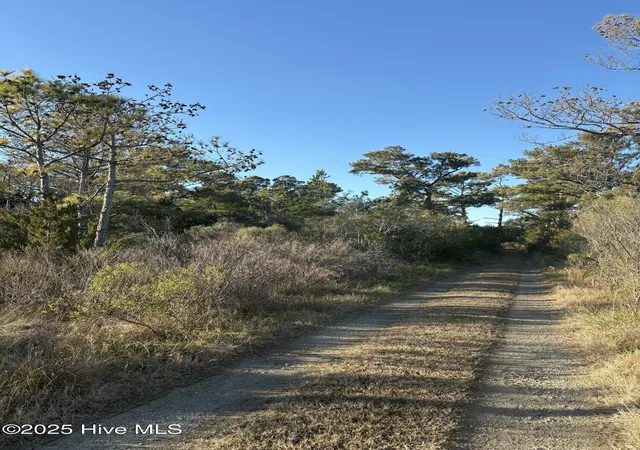Photo 2 of Land for sale at 196 Styron Crk Rd, Sealevel, NC 28577 | MLS# 100555026 | Listing updated on 2026-03-02