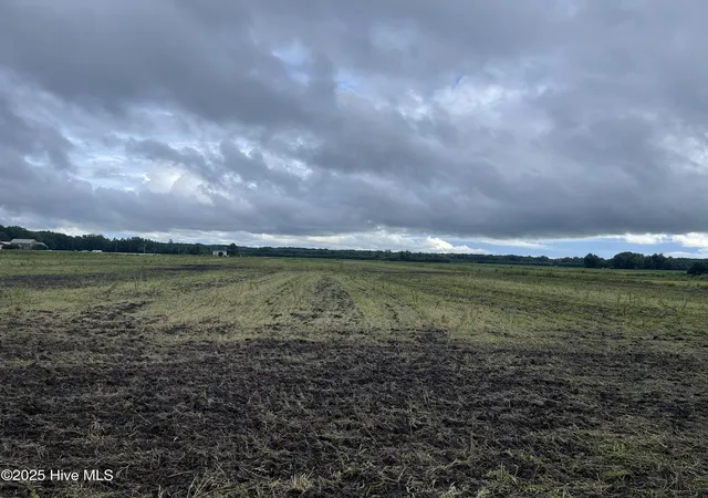 Photo 2 of Land for sale at Tbd Ryland Rd, Tyner, NC 27980 | MLS# 100524472 | Listing updated on 2026-07-21