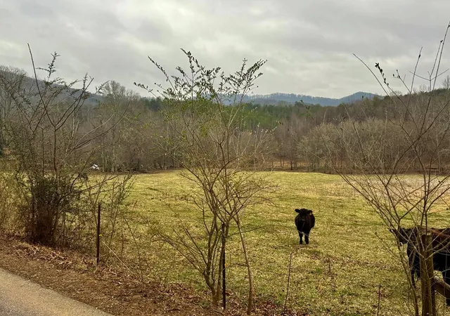 Homes for sale in Turtletown, TN | 3754 Hwy 68 S, Turtletown, TN 37391 | MLS# 98525414