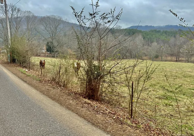 Homes for sale in Turtletown, TN | 3754 Hwy 68 S, Turtletown, TN 37391 | MLS# 98525414