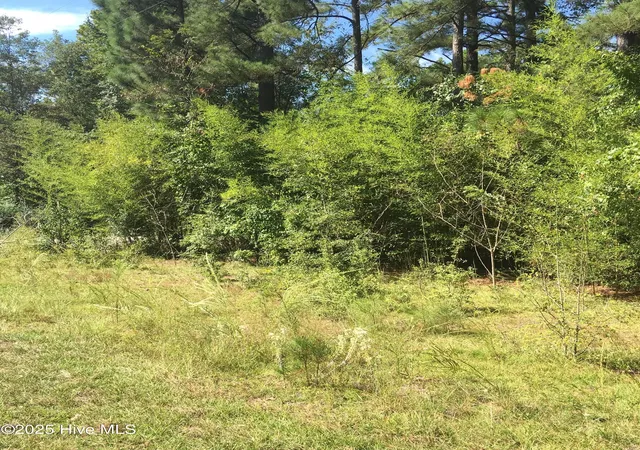 Photo 3 of Land for sale at Tbd Plank Rd, Robbins, NC 27325 | MLS# 100505544 | Listing updated on 2026-03-02