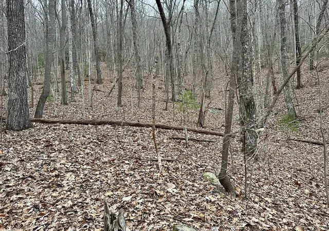 Photo 1 of Land for sale at 15 19 Indian Rock Springs, Murphy, NC 28906 | MLS# 98544221 | Listing updated on 2026-08-04