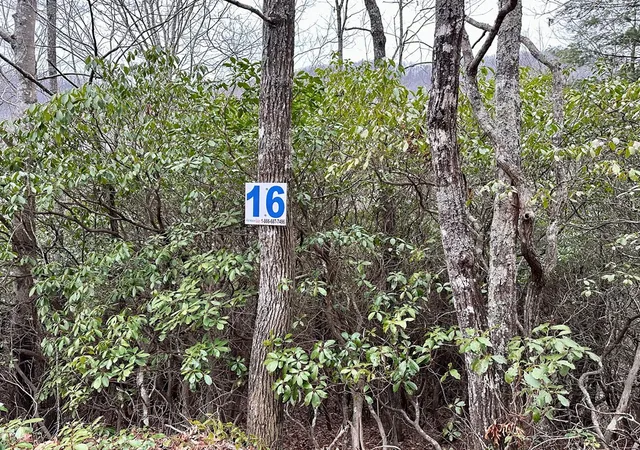 Photo 3 of Land for sale at 15 19 Indian Rock Springs, Murphy, NC 28906 | MLS# 98544221 | Listing updated on 2026-08-04