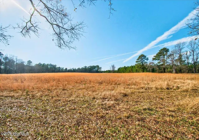 Photo 3 of Land for sale at 765 George Ii Hwy Se, Winnabow, NC 28479 | MLS# 100551580 | Listing updated on 2026-03-02