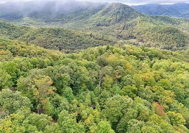 Photo 3 of Land for sale at Lot 11 Skyview Dr, Hayesville, NC 28904 | MLS# 98543864 | Listing updated on 2026-06-02