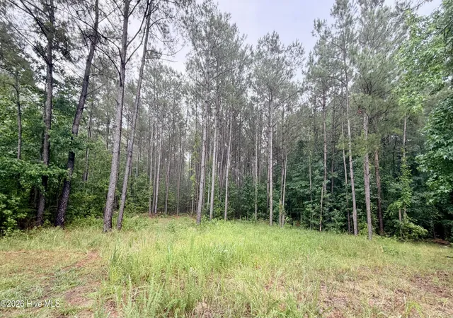 Homes for sale in Currie, NC | Tract F Us 421 Hwy N, Currie, NC 28435 | MLS# 100586764