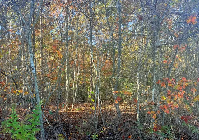 Photo 2 of Land for sale at Lot 25 Hideaway Ridge Dr, Murphy, NC 28906 | MLS# 98525093 | Listing updated on 2026-07-21