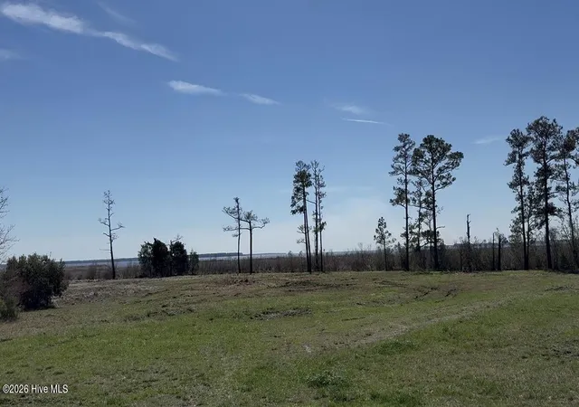 Homes for sale in Belhaven, NC | 342 Battalina Ln, Belhaven, NC 27810 | MLS# 100545822