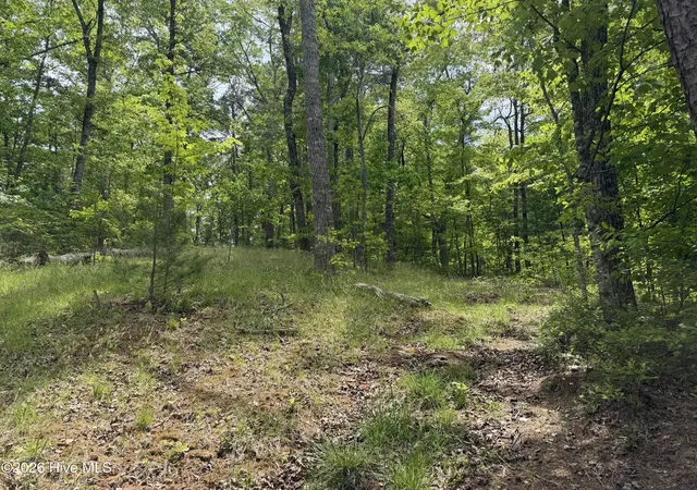 Photo 15 of Land for sale at Multi Lots Black Fox Dr, Murphy, NC 28906 | MLS# 100585495 | Listing updated on 2026-07-29