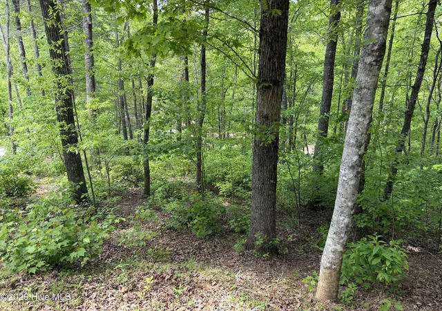 Photo 5 of Land for sale at Multi Lots Black Fox Dr, Murphy, NC 28906 | MLS# 100585495 | Listing updated on 2026-07-29