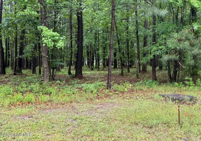 Photo 2 of Land for sale at 0 Stillwater Dr, Belhaven, NC 27810 | MLS# 100600248 | Listing updated on 2026-08-31