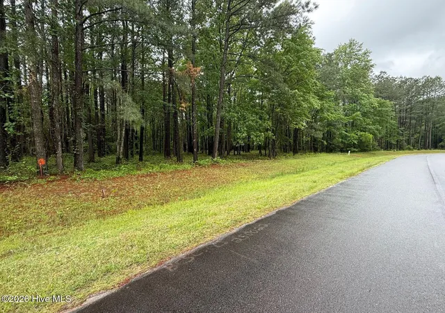 Photo 3 of Land for sale at 0 Stillwater Dr, Belhaven, NC 27810 | MLS# 100600248 | Listing updated on 2026-08-31