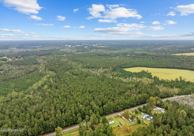 4th image of 50ac Near 22984 Peacock R Rd, Tabor City, NC 28463 | MLS# 100570722