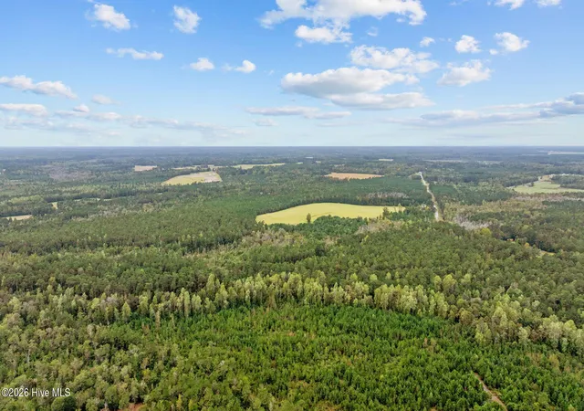 6th image of 50ac Near 22984 Peacock R Rd, Tabor City, NC 28463 | MLS# 100570722